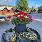 Formanka & Camp 3*